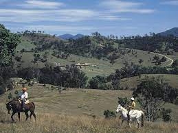 Rosebrook - Maitland 