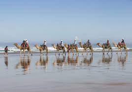 Anna Bay | NSW Holidays & Accommodation, Things to Do, Attractions and Events