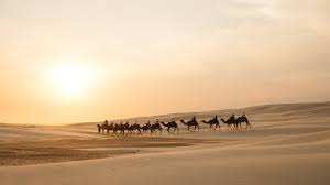 Anna Bay Neighbourhood