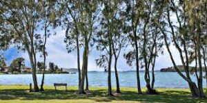 Tanilba Bay | Campervan Finder
