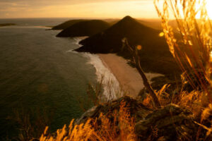 60+ Shoal Bay Nsw Photos Stock Photos