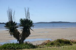 SWAN BAY NSW