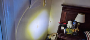 Baulkham Hills Termites Bedroom Wall Nest