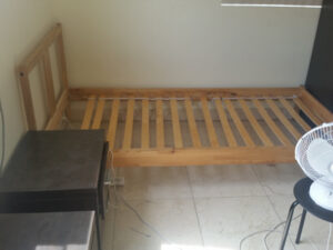 Bed Bug Bed