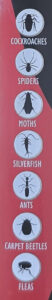 Insect Bomb Pests