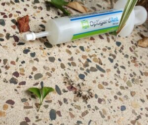 Optigard Ant bait