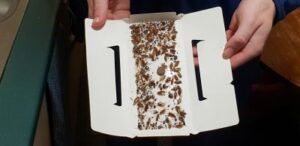 Professional Cockroach Sticky Trap