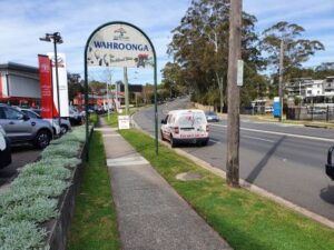 Wahroonga Pest Control Van