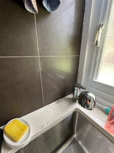 Ants in bathroom