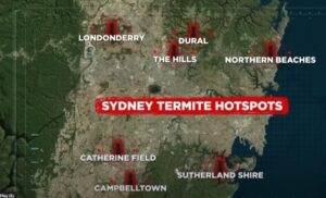Sydney Termite Hotspot Suburbs