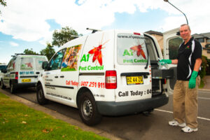 Termite Specialist