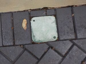 Termguard Green Cover Plate