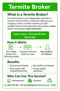 Termite Broker Infographic
