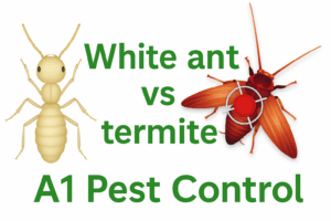 White Ant Vs Termite